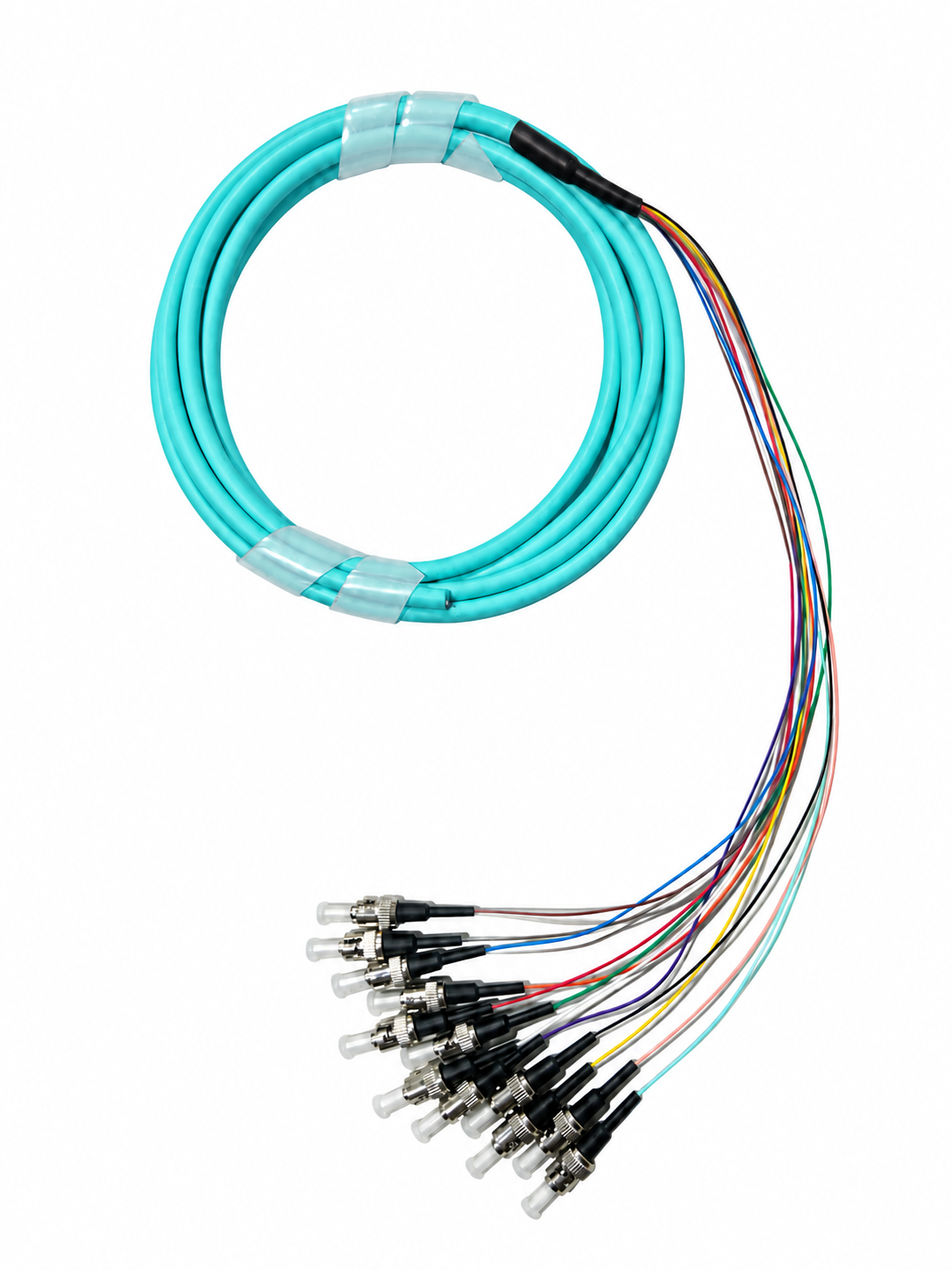 ST 50/125 OM3 Multimode Tight Buffered Pigtails with Distribution, 3 Meter