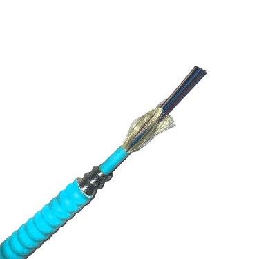 12 Strand Indoor OM4 Multimode Corning Glass AIA Armored Fiber Cable, Plenum