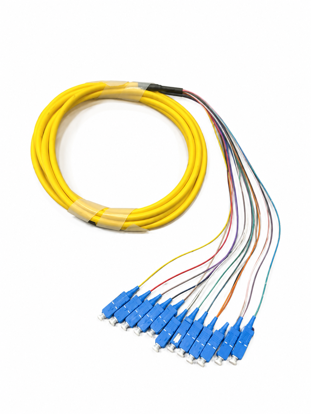 Pigtails — photo from SC 3 Meter 12 Fiber Singlemode Tight Buffered Pigtails with Distribution Jacket listing