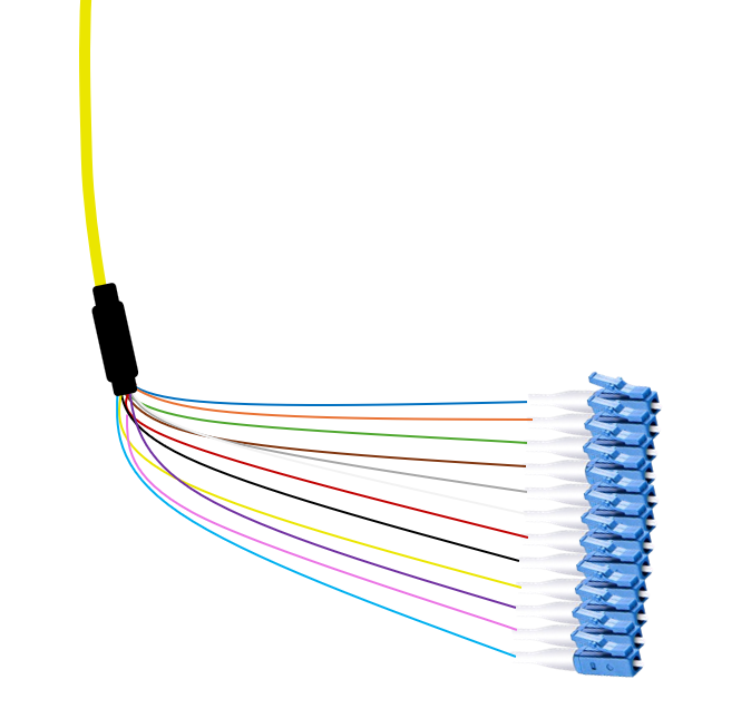 LC Singlemode Tight Buffered Pigtails with Distribution Jacket, 3 Meter