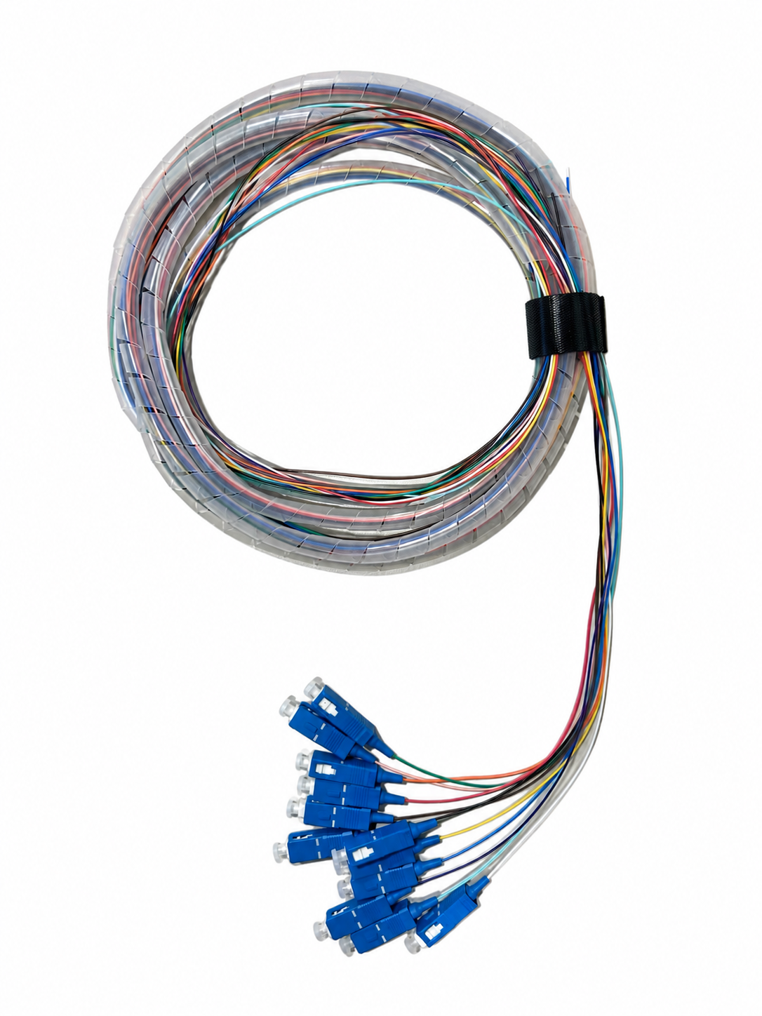 SC 3 Meter 12 Fiber Singlemode Tight Buffered Pigtails with No Jacket
