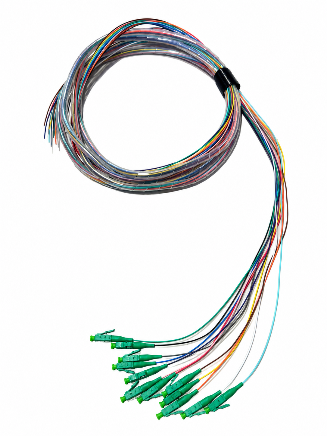 LCAPC 3 Meter 12 Fiber Singlemode Tight Buffered Pigtails with No Jacket