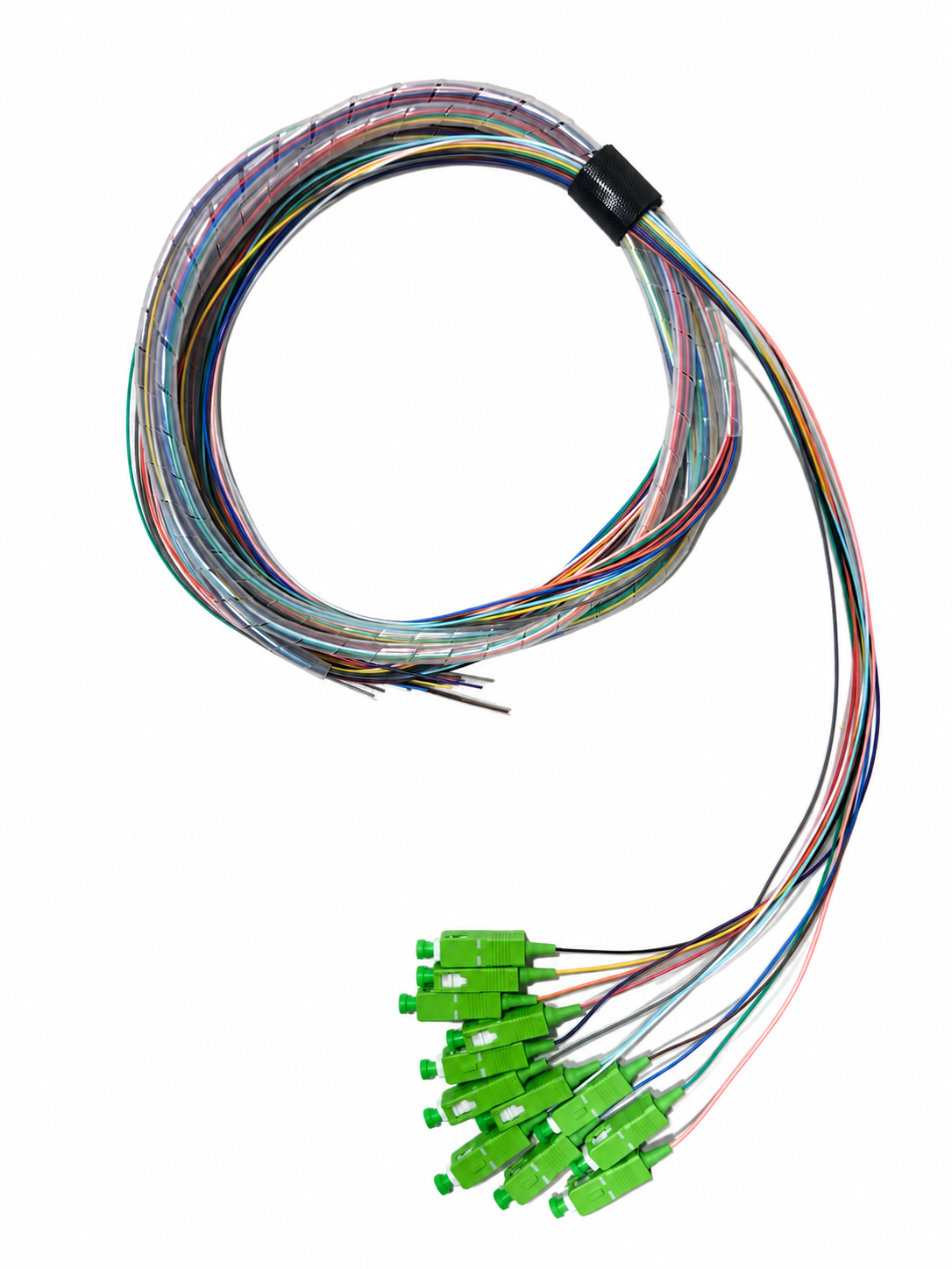 SCAPC 3 Meter 12 Fiber Singlemode Tight Buffered Pigtails with No Jacket