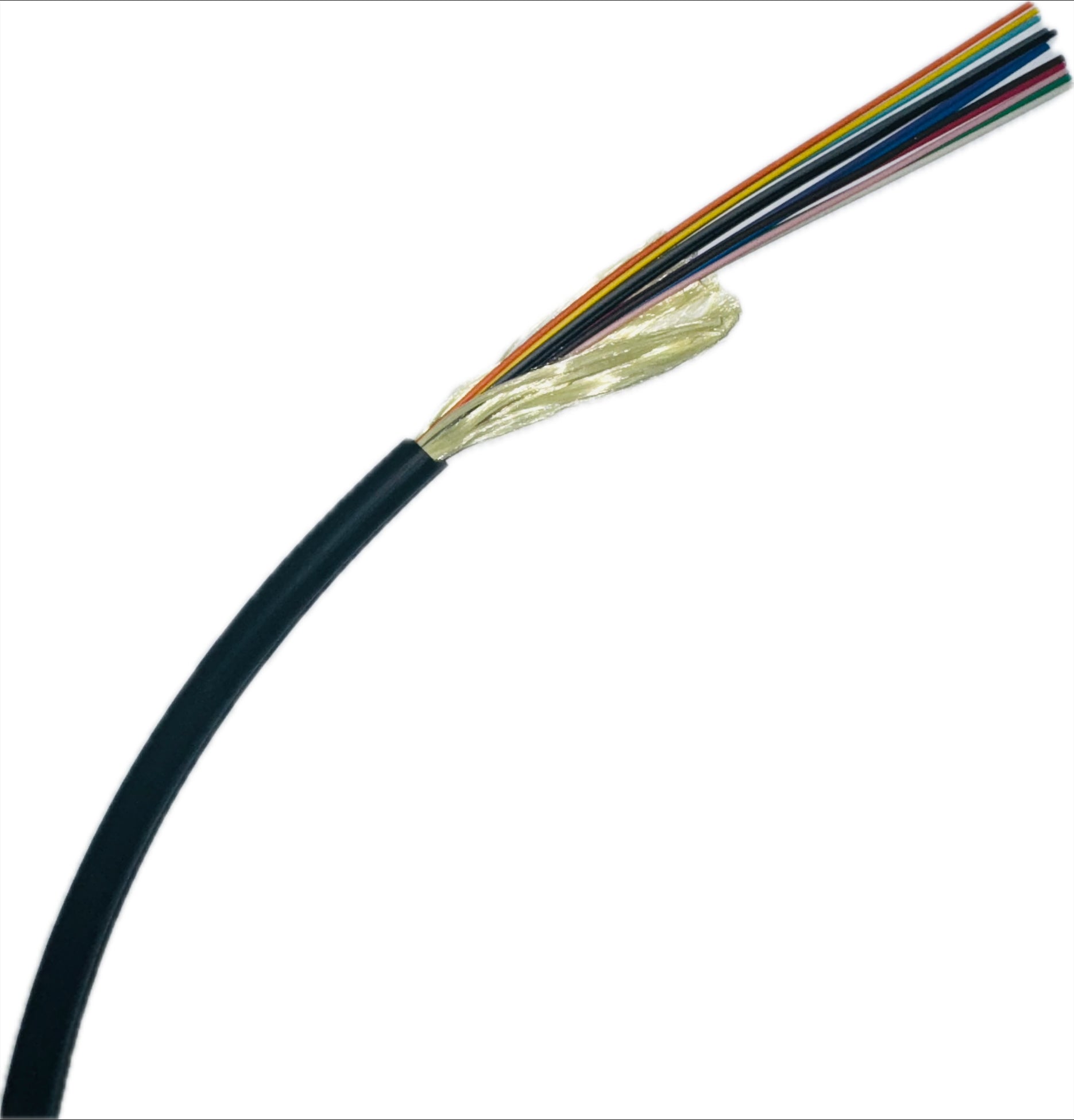 The Light Connection