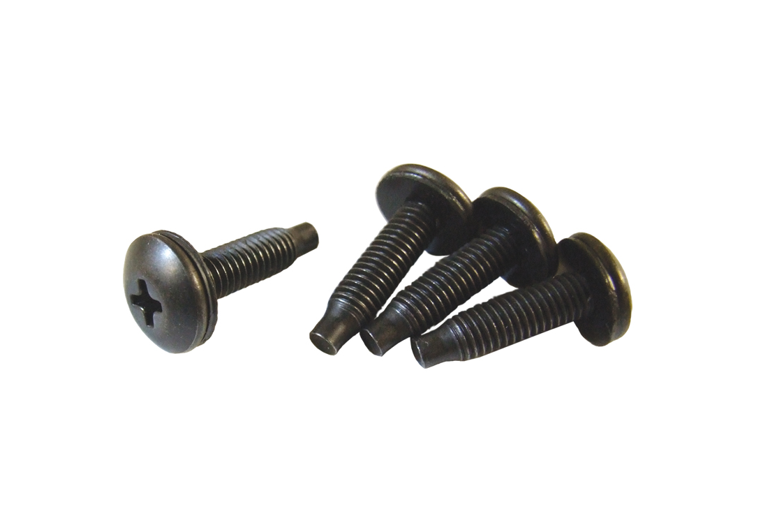 Rack Screws with Pilot Point SCREW Series - 100 Pack